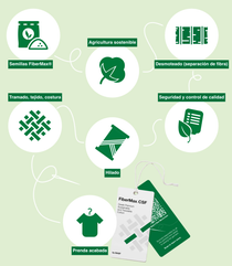 La infografía muestra 7 iconos que simbolizan la cadena de suministro de una camisa de algodón, desde las semillas hasta el producto. Los iconos tienen etiquetas que indican “Semillas FiberMax”, “Agricultura sostenible”, “Desmoteado (separación de fibra)”, “Seguridad y control de calidad”, “Hilado”, “Tramado, tejido, costura”, “Prenda acabada” y etiquetas colgantes con un código QR para que los clientes puedan rastrear digitalmente esta cadena de suministro. 