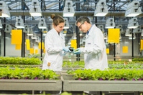 Adapzo® Active, latest fungicide innovation from BASF Agricultural Solutions’ R&D pipeline, has earned a new FRAC mode of action classification. Adapzo provides farmers a new tool to tackle Asian soybean rust and maximize yield potential.