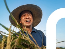 Prexio® Active, ein neuer Insektizid-Wirkstoff, wird voraussichtlich im zweiten Quartal 2025 in einer einfach zu handhabenden Formulierung in Indien erhältlich sein. Andere wichtige Märkte im asiatisch-pazifischen Raum werden folgen. Mit seiner neuartigen Wirkungsweise wurde Prexio speziell für die Kontrolle verschiedener Reiszikaden-Arten entwickelt.
Foto: BASF SE Prexio® Active, ein neuer Insektizid-Wirkstoff, wird voraussichtlich im zweiten Quartal 2025 in einer einfach zu handhabenden Formulierung in Indien erhältlich sein. Andere wichtige Märkte im asiatisch-pazifischen Raum werden folgen. Mit seiner neuartigen Wirkungsweise wurde Prexio speziell für die Kontrolle verschiedener Reiszikaden-Arten entwickelt.
Foto: BASF SE