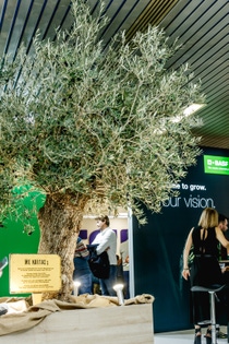 SAKIS GAITANIS © PHOTOGRAPHY SAKIS GAITANIS © PHOTOGRAPHY