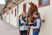 Mobiles trinamiX PAL Two Spektrometer mit Eurofins Applikationen jetzt auch für Pferdefutter einsetzbar 
Foto: trinamiX