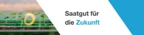 Setzlinge in einem grünen Kunststoff-Tray in einem Gewächshaus, im Hintergrund weiche Bokeh-Lichter. Texteinblendung: „Saatgut für die Zukunft"