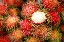 Material loops are also being closed by renewable raw materials. One example is the Rambutan program, which sources high-quality active ingredients from previously unutilized plant parts. BASF researchers discovered that active ingredients from the leaves, peel and seeds of the rambutan fruit have positive effects on skin and hair. In order to sustainably source the cosmetic ingredients,  the company’s Rambutan program has established a socially and environmentally responsible supply chain with local partners in Vietnam and initiated the cultivation of the first two organically certified rambutan gardens in Vietnam.  Material loops are also being closed by renewable raw materials. One example is the Rambutan program, which sources high-quality active ingredients from previously unutilized plant parts. BASF researchers discovered that active ingredients from the leaves, peel and seeds of the rambutan fruit have positive effects on skin and hair. In order to sustainably source the cosmetic ingredients,  the company’s Rambutan program has established a socially and environmentally responsible supply chain with local partners in Vietnam and initiated the cultivation of the first two organically certified rambutan gardens in Vietnam.