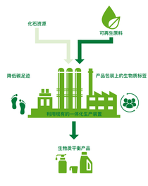 巴斯夫认证的生物质平衡方案信息图表 巴斯夫认证的生物质平衡方案信息图表