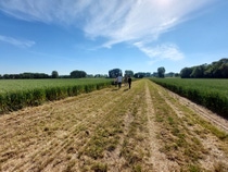 BASF shared the first results of its multi-year Global Carbon Field Trials, which demonstrate that it is possible to reduce greenhouse gas emissions in agriculture by up to 30 percent compared to standard farming approaches. The picture shows BASF employees on a trial field for wheat in Rhineland-Palatinate, Germany.

Phot: BASF SE