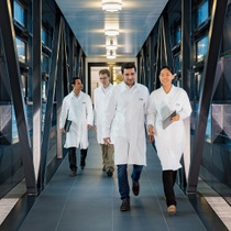 In the new research building B007, BASF research moves closer together. Here, scientists from material physics, formulation and specialty chemicals research work door-to-door. They develop new solutions together with polymer chemists in the neighboring building. A bridge, shortening paths, interconnects the two buildings. Furthermore, open communication areas facilitate exchange between the scientific disciplines. This stimulates creative ideas, and benefits the efficient development of effective solutions.
Van Tay Nguyen (left), Bernhard von Vacano (mid left), Sebastian Müller (mid right), from Material Physics, together with Fangfang Chu (right), chemist at Formulation Research, on their way across the bridge to a project meeting. In the new research building B007, BASF research moves closer together. Here, scientists from material physics, formulation and specialty chemicals research work door-to-door. They develop new solutions together with polymer chemists in the neighboring building. A bridge, shortening paths, interconnects the two buildings. Furthermore, open communication areas facilitate exchange between the scientific disciplines. This stimulates creative ideas, and benefits the efficient development of effective solutions.
Van Tay Nguyen (left), Bernhard von Vacano (mid left), Sebastian Müller (mid right), from Material Physics, together with Fangfang Chu (right), chemist at Formulation Research, on their way across the bridge to a project meeting.