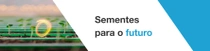 Um homem e uma criança estão em pé em uma cozinha, preparando legumes frescos juntos. Um redemoinho de luz paira sobre o balcão. O texto diz: “Sementes para o futuro”.