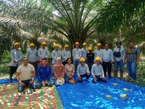 Mit dem Projekt Lampung, eine gemeinsame Nachhaltigkeitsinitiative von Solidaridad, BASF, The Estée Lauder Companies (ELC) und der Roundtable on Sustainable Palm Oil (RSPO), haben die Projektpartner Fortschritte bei der Stärkung einer nachhaltigen Palmöl-Lieferkette und der Unterstützung von Kleinbauern erzielt.   Foto: BASF SE Mit dem Projekt Lampung, eine gemeinsame Nachhaltigkeitsinitiative von Solidaridad, BASF, The Estée Lauder Companies (ELC) und der Roundtable on Sustainable Palm Oil (RSPO), haben die Projektpartner Fortschritte bei der Stärkung einer nachhaltigen Palmöl-Lieferkette und der Unterstützung von Kleinbauern erzielt.   Foto: BASF SE