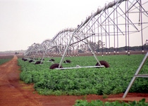 Brasilien ist der zweitgrößte Sojaproduzent der Welt. Seit vielen Jahren arbeitet dort die BASF mit den Sojaanbauern. In enger Zusammenarbeit mit den Landwirten entwickelte BASF Opera® mit F 500® ein umweltfreundliches Pflanzenschutzmittel, das Sojapflanzen vor Soja-Rost und anderen Krankheiten schützt.