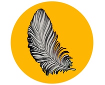 Illustrated peacock feather