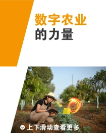 一名女性农户手持平板电脑，正在田地中检查植物。平板电脑附近有一个光环。图片的左侧的文字为“数字农业的力量”。 