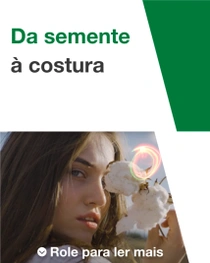 Uma mulher com cabelos castanhos longos segura uma planta de algodão perto do rosto. Um redemoinho de luz é visível acima da planta de algodão. O texto diz “Da semente à colheita”. Uma mulher com cabelos castanhos longos segura uma planta de algodão perto do rosto. Um redemoinho de luz é visível acima da planta de algodão. O texto diz “Da semente à colheita”.