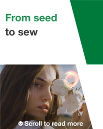 Woman with cotton plant Woman with cotton plant
