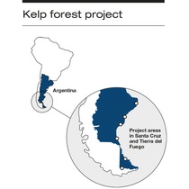 Map locating the kelp forest project in southern Argentina