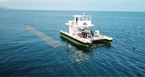 BASF Venture Capital GmbH, the corporate venture company of BASF SE, and Aqua-Spark, a Dutch investment fund focusing on the global aquaculture industry, are investing in Sea6 Energy Pvt. Ltd. as part of a Series B round. Sea6 Energy was founded in 2010 and is located in Bangalore, India. The company is a leader in the production and processing of tropical red seaweed. BASF Venture Capital GmbH, the corporate venture company of BASF SE, and Aqua-Spark, a Dutch investment fund focusing on the global aquaculture industry, are investing in Sea6 Energy Pvt. Ltd. as part of a Series B round. Sea6 Energy was founded in 2010 and is located in Bangalore, India. The company is a leader in the production and processing of tropical red seaweed.