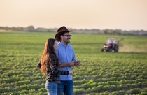 Mit xarvio™ HEALTHY FIELDS erhalten Landwirte eine optimierte Pflanzenschutzstrategie einschließlich professioneller Anwendungen