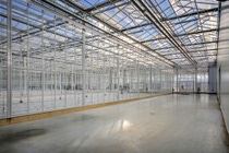 The global breeding center for cucumbers incorporates the latest technology and is at the forefront of modern environmental standards. 