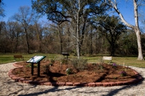 The BASF Geismar employees recently unveiled an officially certified and registered Monarch Waystation and pollinators garden on its site to compliment the company’s Living Acres initiative.