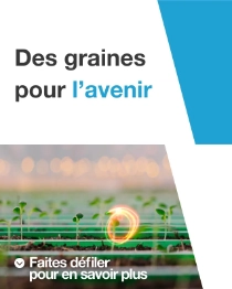 Un homme et un enfant se tiennent debout dans une cuisine, préparant ensemble des légumes frais. Un tourbillon lumineux flotte au-dessus du comptoir. Le texte indique : « Des semences pour l’avenir. » Un homme et un enfant se tiennent debout dans une cuisine, préparant ensemble des légumes frais. Un tourbillon lumineux flotte au-dessus du comptoir. Le texte indique : « Des semences pour l’avenir. »