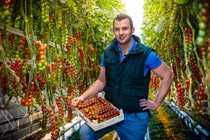 BASF’s new insecticide Axalion™ will be registered for use in a broad range of crops in the fruits and vegetable markets. Additional row crop uses extend to soybeans and other legumes, cotton and cereals. It will offer farmers a new and environmentally friendly option to control many problematic piercing and sucking insect pests, including whiteflies and aphids, that can cause devastating losses in their yield and subsequently revenue. BASF’s new insecticide Axalion™ will be registered for use in a broad range of crops in the fruits and vegetable markets. Additional row crop uses extend to soybeans and other legumes, cotton and cereals. It will offer farmers a new and environmentally friendly option to control many problematic piercing and sucking insect pests, including whiteflies and aphids, that can cause devastating losses in their yield and subsequently revenue.