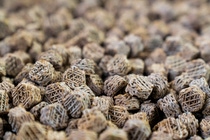 BASF’s X3D catalysts combine high mechanical stability with an open structure.
Photo: BASF