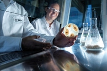 Biotechnologie blanche – un élément clé de la boîte à outils de BASF