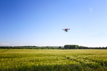 The automated image recognition technology can, e.g. supported by drones, determine the species and quantity of plants, pests and diseases in greenhouse and field trials.. The automated image recognition technology can, e.g. supported by drones, determine the species and quantity of plants, pests and diseases in greenhouse and field trials..