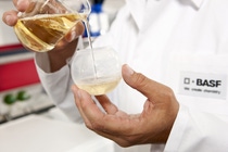 An employee in the BASF laboratory, prepares a wash trial. He attaches dirt swatches to a towel and measure out detergent. The trials are conducted with test formulations and commercial detergents. An employee in the BASF laboratory, prepares a wash trial. He attaches dirt swatches to a towel and measure out detergent. The trials are conducted with test formulations and commercial detergents.