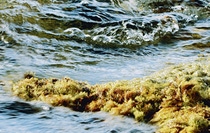 Seas and oceans are the biggest water reservoirs on Earth. Since decades sea water is turned to drinking water by desalination in large scale.