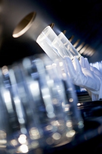 Employees in the laboratory for automatic dishwashing, check the result of a test wash. Residues, spots of lime and streaks are immediately visible in the light beam in front of a black background. The findings provide important information for enhancing formulations and developing new products Employees in the laboratory for automatic dishwashing, check the result of a test wash. Residues, spots of lime and streaks are immediately visible in the light beam in front of a black background. The findings provide important information for enhancing formulations and developing new products