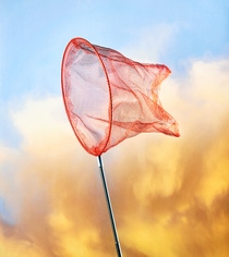 A net is being swung through the air