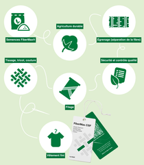 L’infographie montre 7 icônes symbolisant la chaîne d’approvisionnement d’une chemise en coton, de la semence au vêtement fini. Les icônes portent des étiquettes indiquant « Semences FiberMax® », « Agriculture durable », « Égrenage (séparation de la fibre) », « Sécurité et contrôle qualité », « Filage », « Tissage, tricot, couture », « Vêtement fini » et des étiquettes avec un QR code permettant aux clients de tracer cette chaîne d’approvisionnement numériquement. 