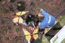 Forty fourth graders participate in BASF’s flowers love pollination Kids’ Lab and pollinator garden unveiling ceremony. Forty fourth graders participate in BASF’s flowers love pollination Kids’ Lab and pollinator garden unveiling ceremony.