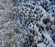 Nanoporen in Multibore® Membranen reinigen bei der Ultrafiltration sowohl Trinkwasser als auch industrielle Abwässer von Keimen, Bakterien und Viren. Vergrößerung 750:1 (bei 15cm Bildbreite)
Abdruck honorarfrei. Copyright by BASF.   
Nanopores in Multibore® membranes help to purify both drinking water and process water from germs, bacteria and viruses by ultrafiltration technique. Magnification 750:1 (15cm in width)
Print free of charge. Copyright by BASF Nanoporen in Multibore® Membranen reinigen bei der Ultrafiltration sowohl Trinkwasser als auch industrielle Abwässer von Keimen, Bakterien und Viren. Vergrößerung 750:1 (bei 15cm Bildbreite)
Abdruck honorarfrei. Copyright by BASF.   
Nanopores in Multibore® membranes help to purify both drinking water and process water from germs, bacteria and viruses by ultrafiltration technique. Magnification 750:1 (15cm in width)
Print free of charge. Copyright by BASF