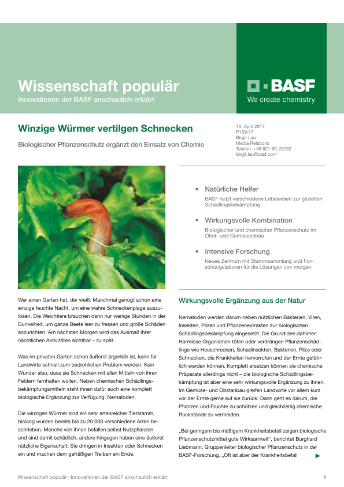 Winzige Würmer vertilgen Schnecken