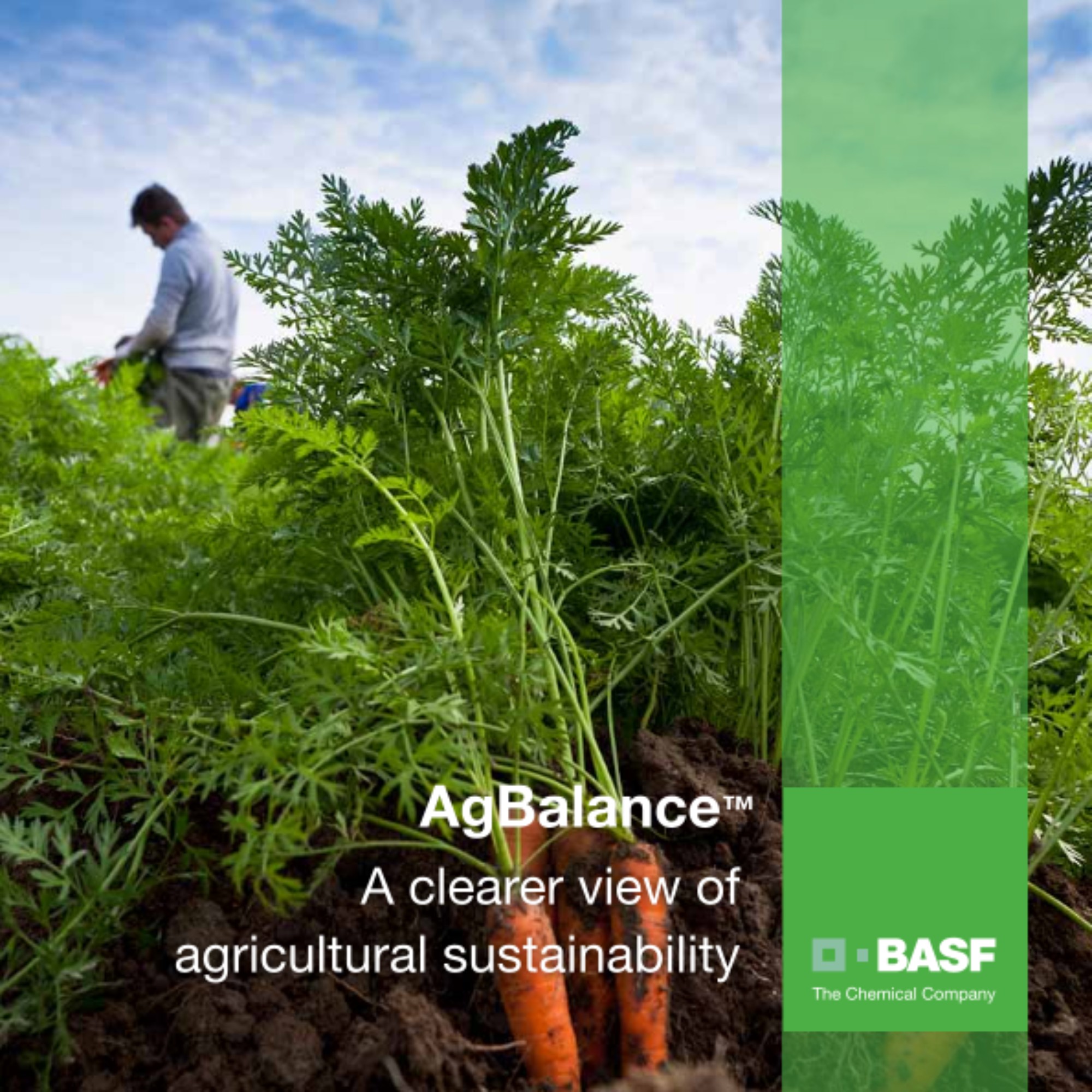 A clearer view of agricultural sustainability A clearer view of agricultural sustainability