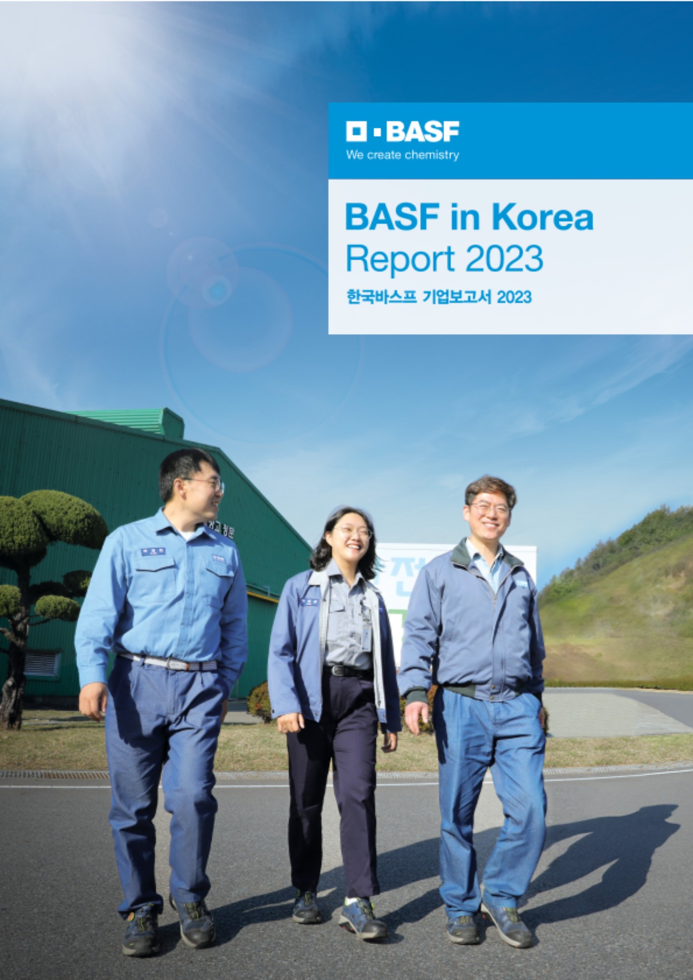 한국바스프 개요